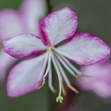 06-08-2015